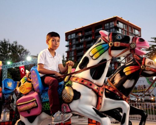Horse Train