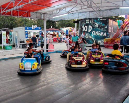 Mini Bumper Cars